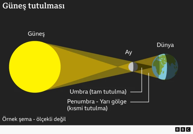 Ay'ın Dünya'ya nasıl gölge düşürdüğünü gösteren bir grafik - tam gölge (umbra) ortada, yarı gölge (penumbra) ise etrafındaki daha geniş alanda yer alıyor.