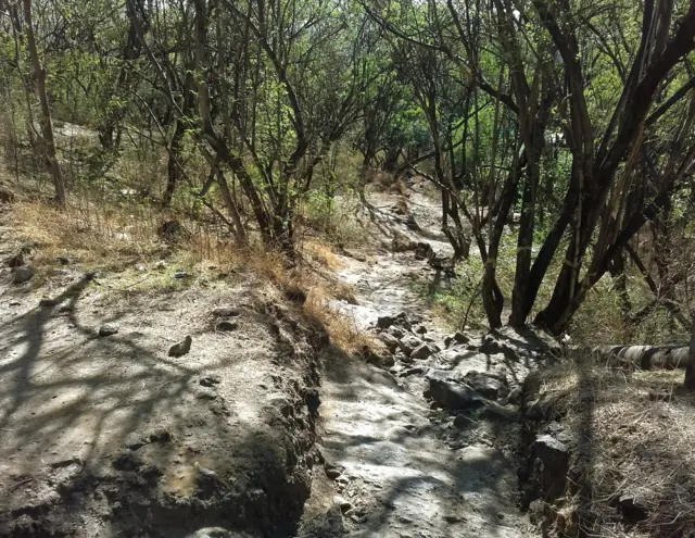 वेताळ टेकडी 