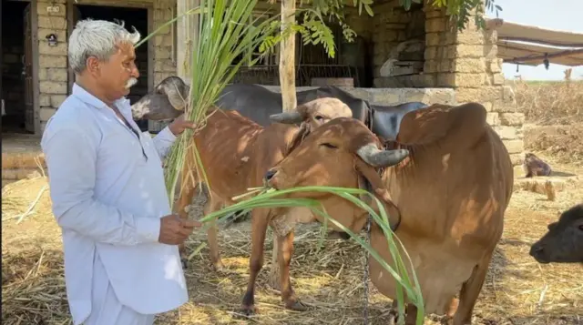 బాలూభాయ్ సర్వయ్య