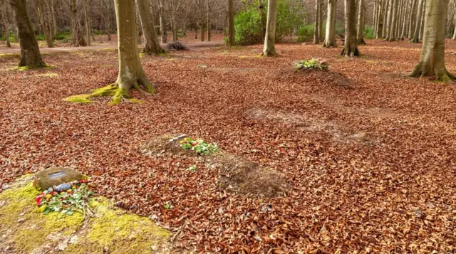 કુદરતી કબ્રસ્તાન