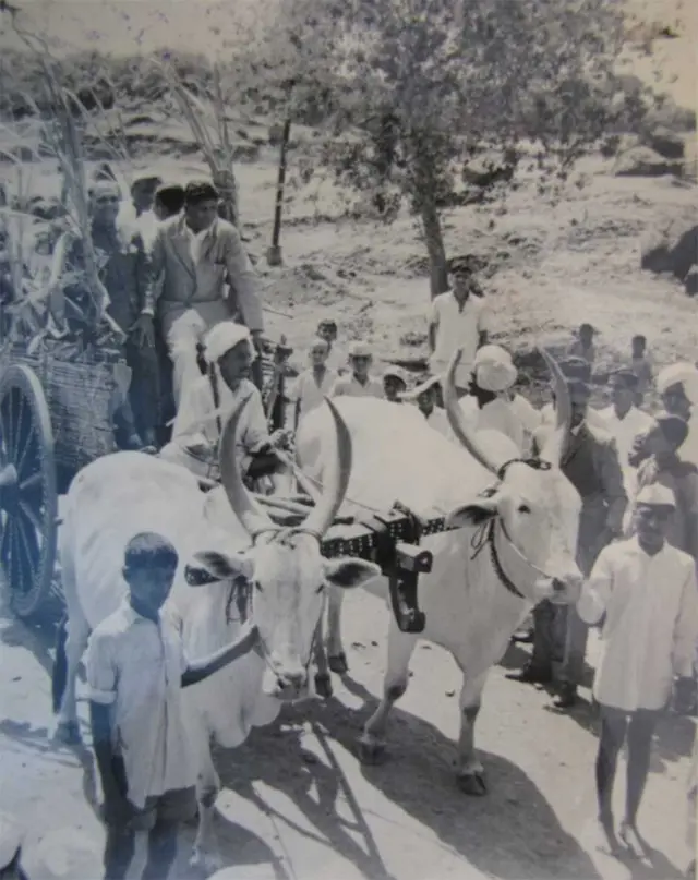 शिवाजी विद्यापीठ