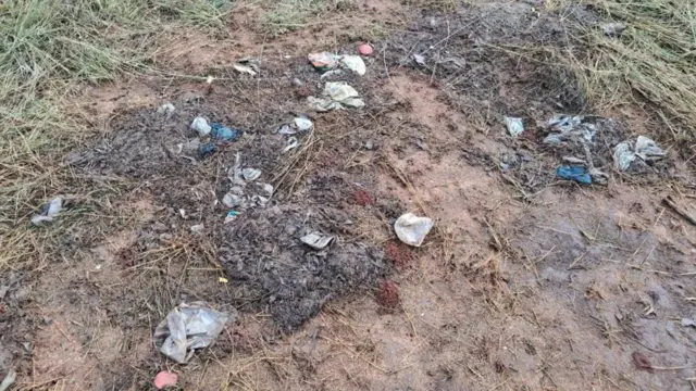 ఏనుగుల పేడ