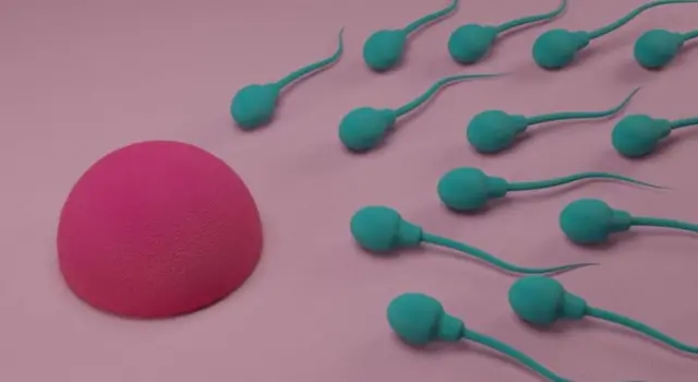 వీర్య కణాలు