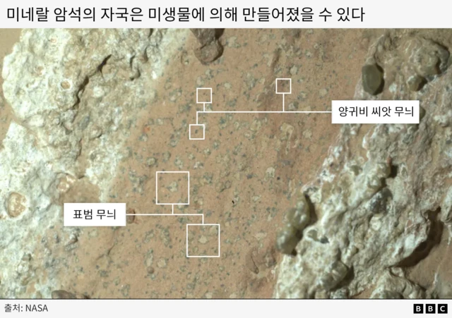‘표범 무늬’와 ‘양귀비 씨앗’이라는 별명이 붙은 암석 위 자국