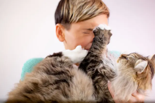 gato arranhando humano