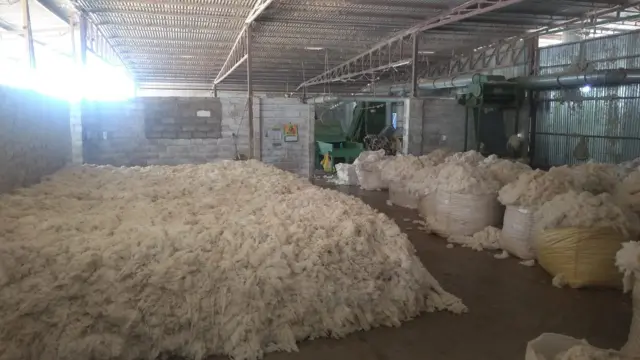 "தமிழ் நாட்டில் பருத்தி விளைச்சல் மிகவும் குறைவு"