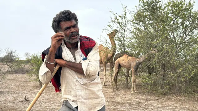 કચ્છ, ઊંટ, ઊંટનું દૂધ, દૂધના ભાવ, માલધારી, કચ્છ ગુજરાત, બીબીસી ગુજરાતી, દૂધની બનાવટ, દૂધ પ્રોડક્ટ