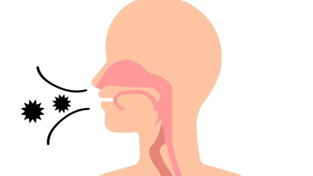 الفطريات تدخل أجسامنا مع الهواء الذين نتنفسه 