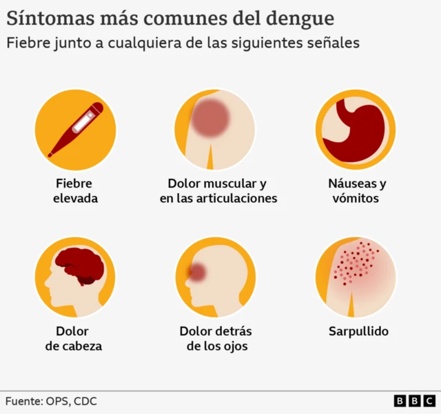 Síntomas del dengue