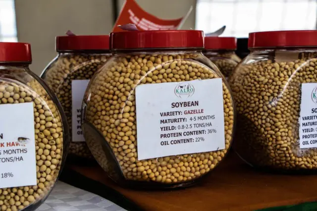 આફ્રિકન સેન્ટર ફૉર બાયોડાયવર્સિટી જેવા સંગઠનોની માંગણી છે કે બીજનું પ્રબંધન કંપનીઓની પાસે નહીં, પરંતુ ખેડૂતોના હાથમાં રહે