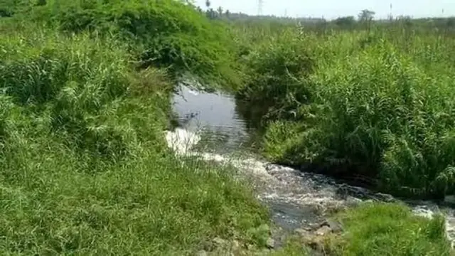 காணாமல் போகும் பாலாறு