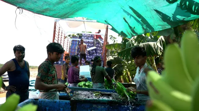 బెంగాలీ కూలీలు