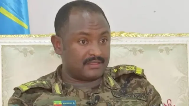 ሌ/ ጀኔራል ብርሃኑ በቀለ