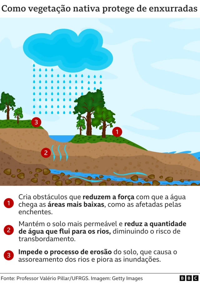 Gráfico explicando as três maneiras pelas quais a vegetação nativa protege contra enxurradas