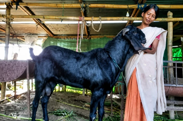 बोरनाली बरुआ एक बकरी के साथ