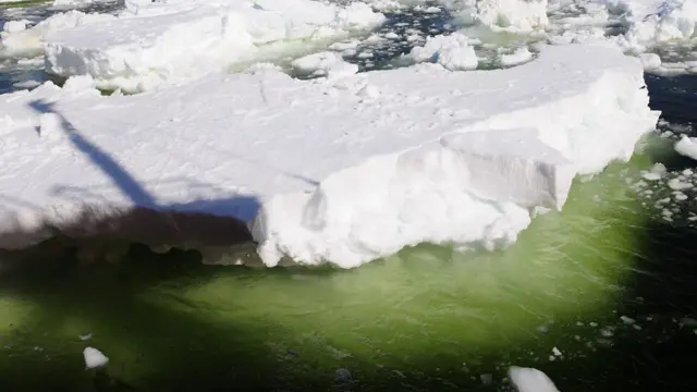 El agua de deshielo que fluye desde la plataforma de hielo Dotson arrastra hierro a la superficie, lo que permite la proliferación del fitoplancton.