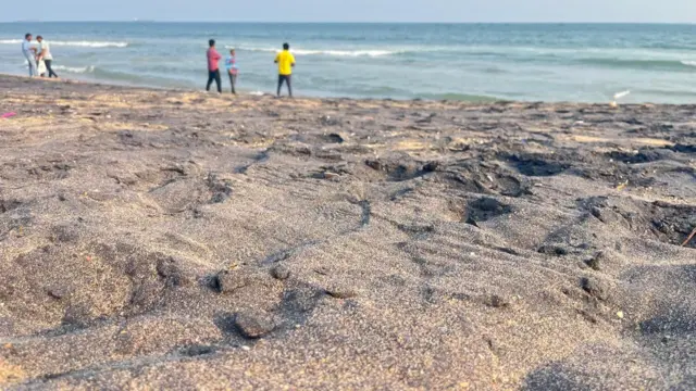 సముద్రపు ఇసుక 