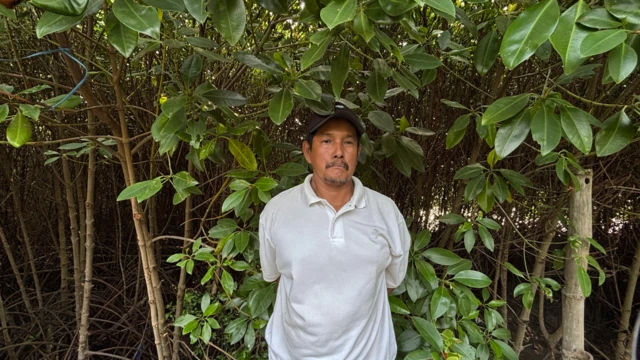 banjir rob, pesisir utara jawa, pantura, gresik