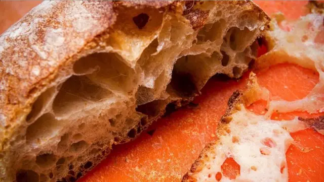 క్యాండిడా ఆరిస్