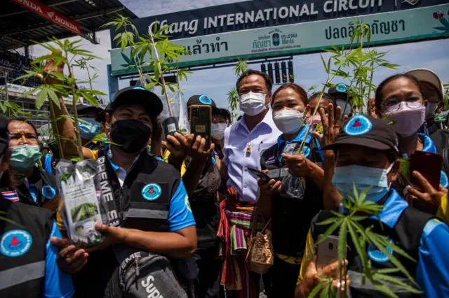 ealth Minister, Anutin Charnvirakul, poses with people who received a free cannabis plant from the Thai government to celebrate the legalization of marijuana on June 10, 2022 in Buriram, Thailand