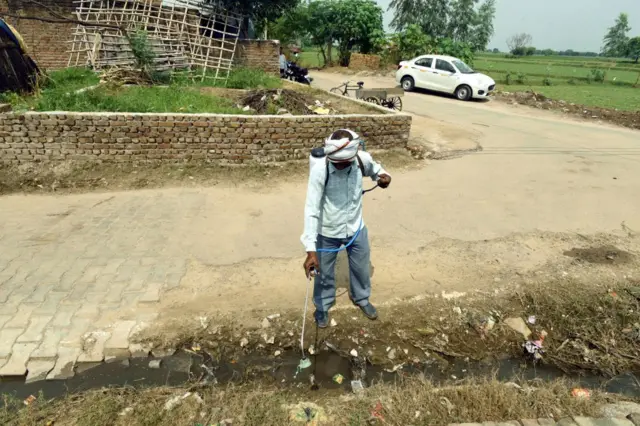 స్క్రబ్ టైఫస్ 