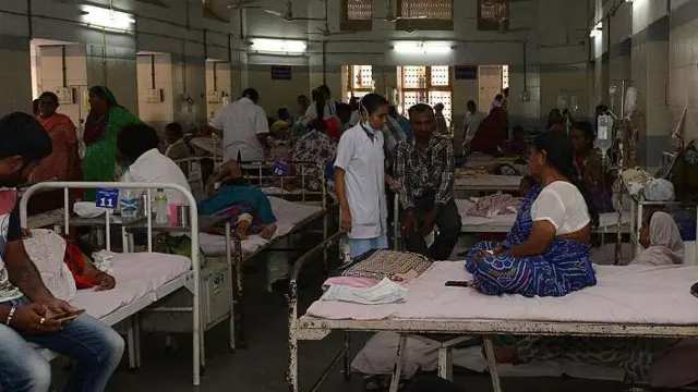 ડેન્ગ્યુ 