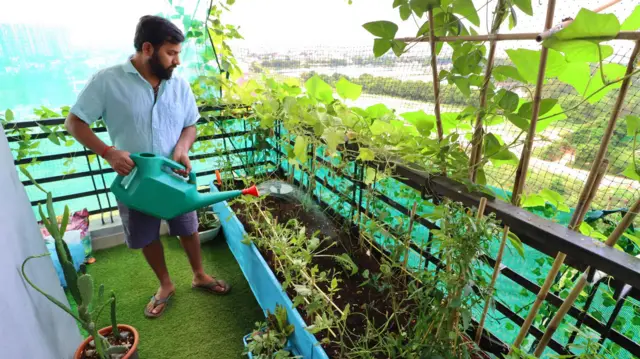 ਬਾਗ਼ਬਾਨੀ