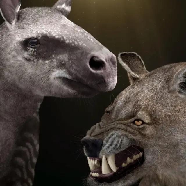 বড় তৃণভোজী প্রাণী হিরাশিয়াস (বামে) আর মাংসাশী প্রাণী আর্কটোসিয়ন (ডানে)