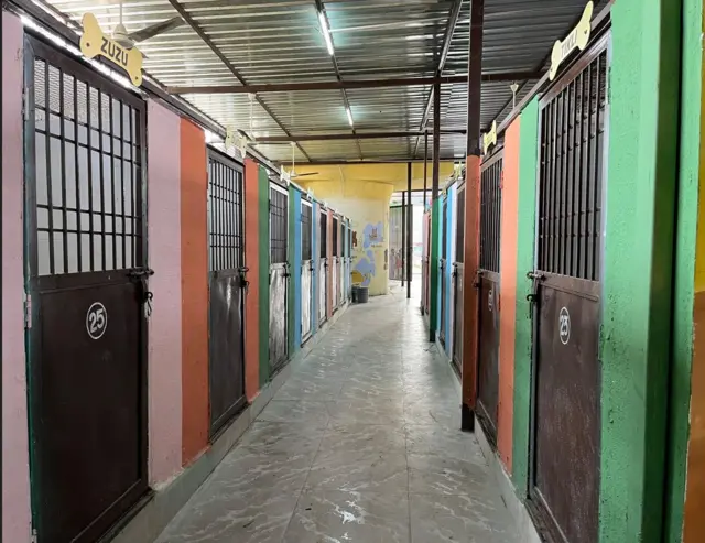 संभाजीनगर महापालिकेचं भटक्या कुत्र्यांसाठीचं निवारागृह. इथं कुत्रे आणून त्यांची नसबंदी केली जाते.