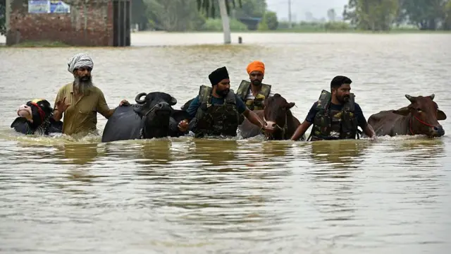 ਪੰਜਾਬ ਹੜ੍ਹ