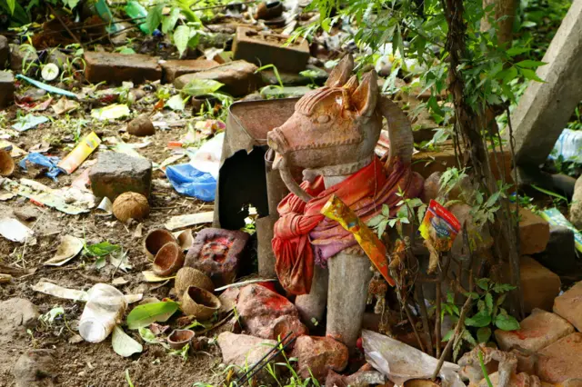 తెలంగాణ, జీవో 49, ఆదివాసీలు, కుమ్రం భీమ్ కన్జర్వేషన్ రిజర్వ్