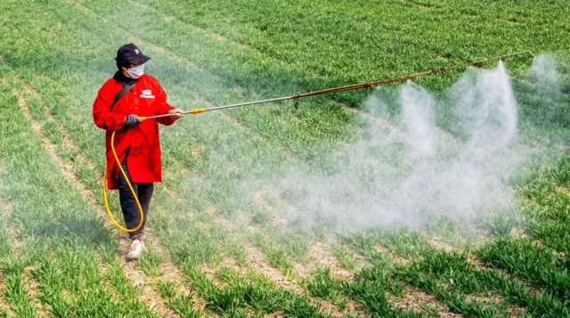 lingkungan, perubahan iklim