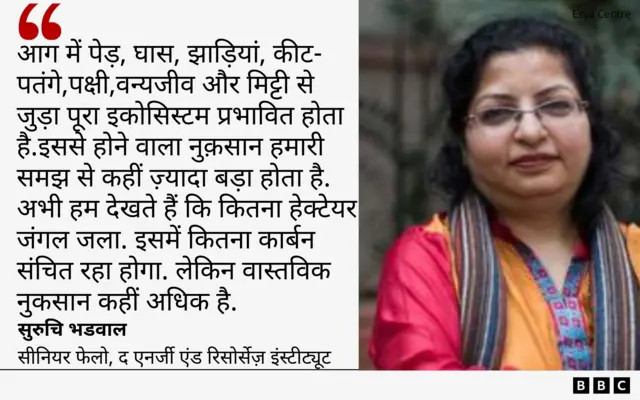 उत्तराखंड