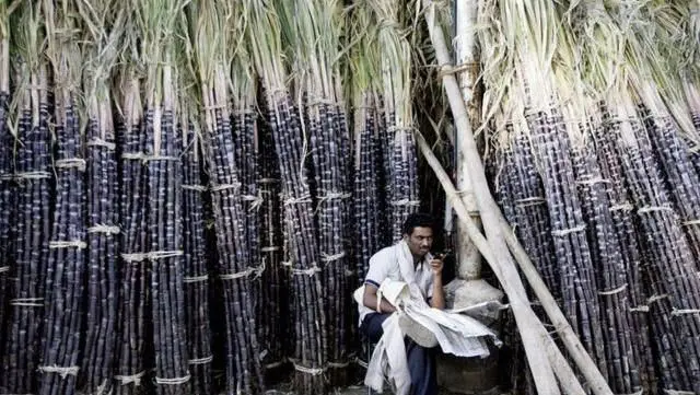 చక్కెర, బెల్లం