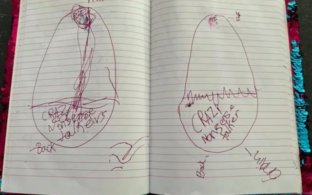 Ce dessin tiré du carnet de Lulu Johnson est sa tentative d'expliquer ce que son cerveau a ressenti à cause des pandas.