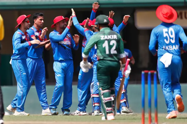 cricket 
