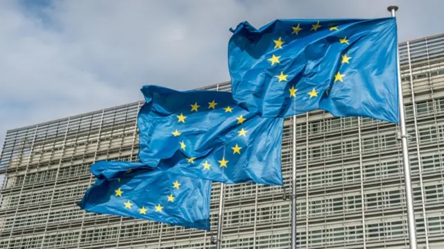 Yalangoch mushuklarning fotosuratlari toplami