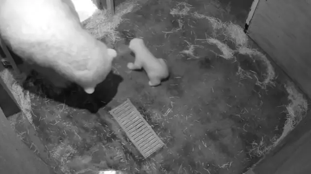 Nur caminhando na frente na Mãe Aurora dentro da toca escura