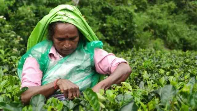 மலையக தமிழரின் வீடு இடிப்பா