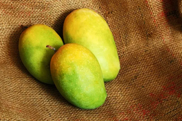 કેસર કેરી