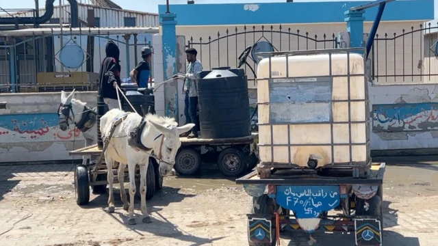 عربة يجرها حمار لتوزيع المياه في غزة 