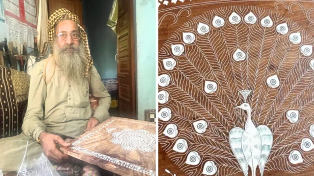 ਹੁਸ਼ਿਆਰਪੁਰ