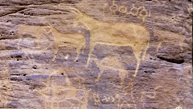 પૂર્વ આફ્રિકામાં આશરે 7,000 વર્ષ પહેલાં જંગલી ગધેડાઓને પહેલીવાર પાળવામાં આવ્યા હતા