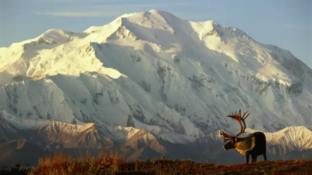 Alaska