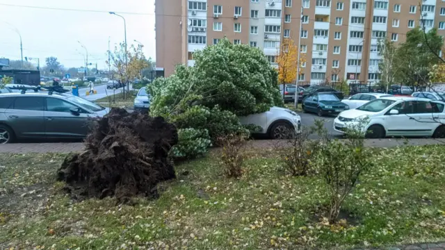 негода