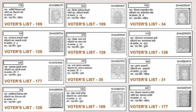 मतदार यादी