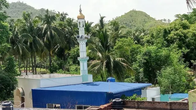 பன்றி, பலியிடுதல், சர்ச்சை, வேலூர், கோயில் திருவிழா, மசூதி