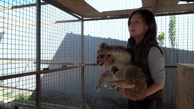 Салтанат Сеитова