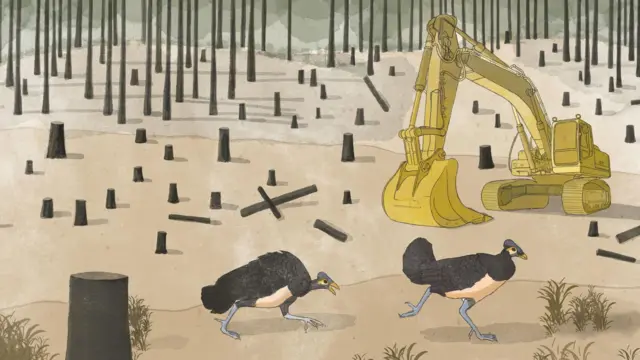 Ilustrasi habitat burung maleo yang rusak akibat deforestasi.