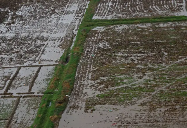 રાજ્યમાં હજારો હેક્ટરમાં ખેતરો હાલ પાણીમાં છે જેના કારણે ખેતીને વ્યાપક નુકસાનની ભીતી સેવાઈ રહી છે